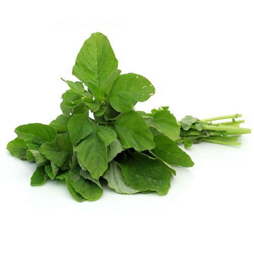 Green Amaranthus ( নোটেশাক )